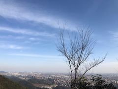 -杭州半山国家森林公园