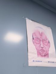 -厦门美莱整形美容医院