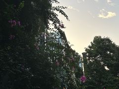 -默迹咖啡馆