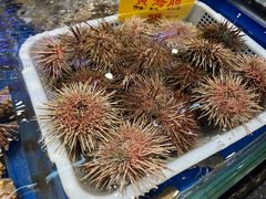 -万宝海鲜舫(劳动公园店)