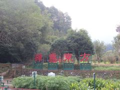 -韶关经律论国际酒店温泉