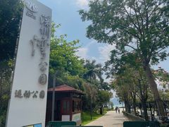 -深圳湾公园(南山区)