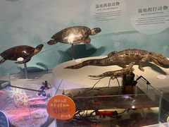 -中国湿地博物馆