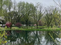 -杭州植物园