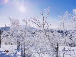 -大秃顶子山