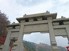 -老山东·山东菜(鲁菜名店)