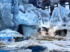 -帝企鹅自助餐厅•儿童岛•真企鹅(长隆企鹅酒店)