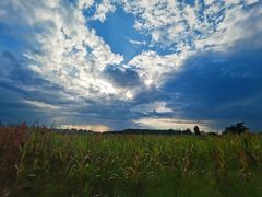 -汉长安城未央宫国家考古遗址公园