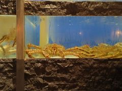 -鱼乐轩海鲜专门店