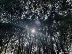 -兴福老面馆(寺路街店)