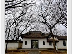 -上海佘山国家森林公园天马山园