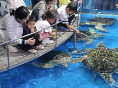-泉城欧乐堡海洋极地世界