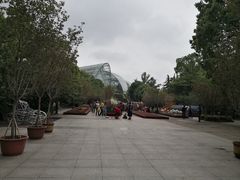 -南山植物园