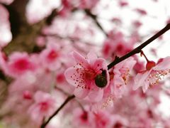 -白塘生态植物园