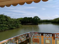 -大湾区中央湿地公园