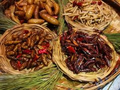 -昆虫窝子·特色云南菜(拓东路总店)