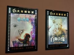 -CMC大光明影城(莲花店)