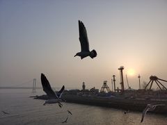 -星海广场