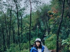 -铁山坪森林公园