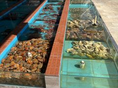 -景好海鲜餐厅(大鹏必选旅游店)