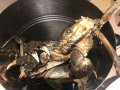 -星伦多海鲜自助餐厅(万达百货店)