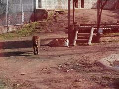 -西安秦岭野生动物园