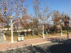 -山东外贸职业学院