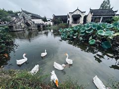-呈坎景区
