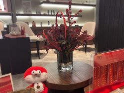 -丽妍雅集 Rubis SPA