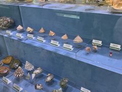 -浙江自然博物院(杭州馆)