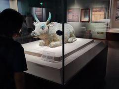 -宁夏博物馆