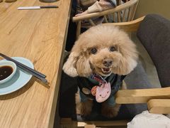 -初居食屋日式料理(万象城购物中心店)
