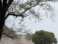 -南京城墙景区