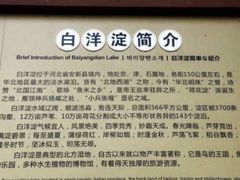 -白洋淀景区