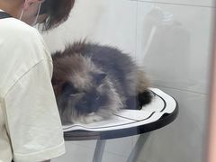 -悠尼宠物·独立低压伊珊娜洗护·美容·寄养(兰谷路店)