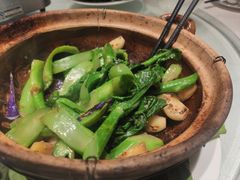 啫啫芥兰苗-广东道至正餐厅(区庄店)
