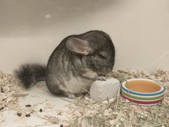 -龙猫仔乐园(惠福东路店)