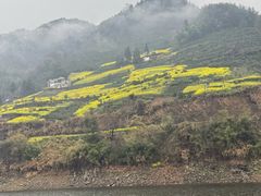 -新安江山水画廊风景区