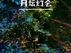 -月坛公园