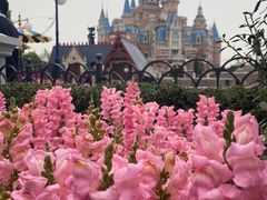 -上海迪士尼度假区