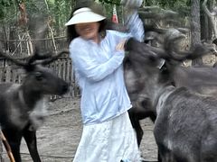 -北极村旅游风景区