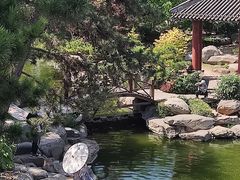 -中国唐苑