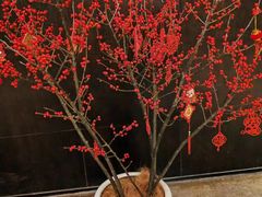 -湖滨客舍·湖北菜