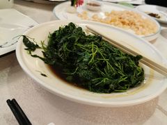 酒香金花菜-老东吴食府(雅都店)