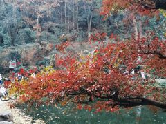 -岳麓山风景名胜区