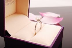 DSC_7776-威德钻石-克拉钻大本营(南京东路店)