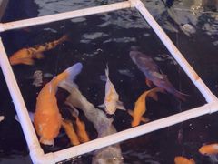 -优食坊·蒸汽海鲜(康盛路店)