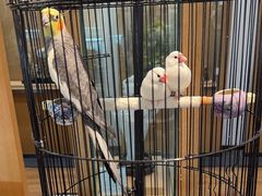 -阜昌典当行(阜成门店)