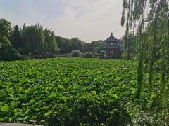 -莲池书院博物馆