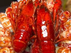 -金陵暴走小龙虾·迷踪蟹(凯德MALL店)